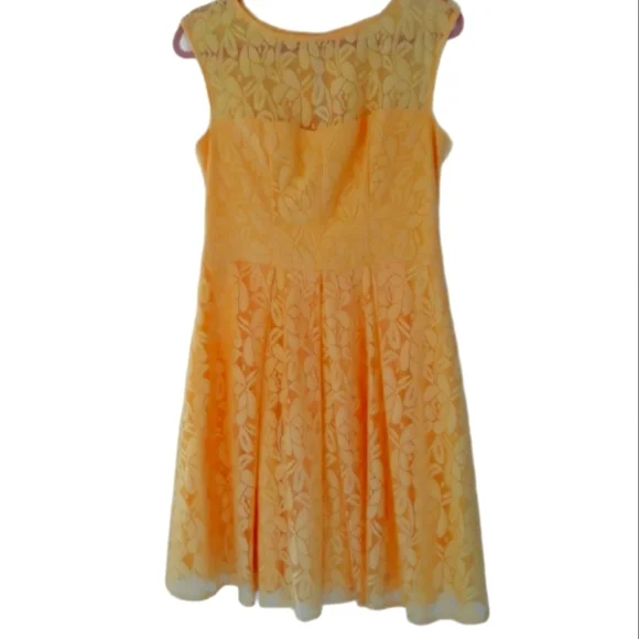 london times lace dresses London Times Plus Size Eyelet Lace A-Line Dress